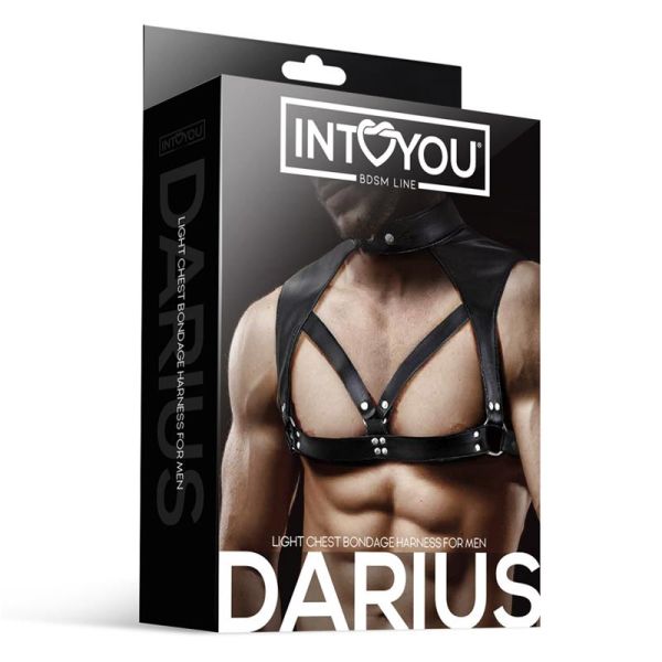 IntoYou BDSM Line Darius черен мъжки BDSM харнес от веган кожа с метални халки