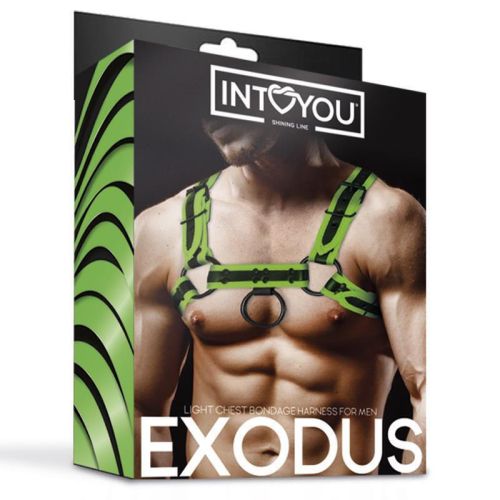 IntoYou Shining Line Exodus Black Men's Glow-in-the-Dark Vegan Leather BDSM Harness S/XL